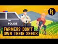 Why Farmers Can’t Legally Replant Their Own Seeds