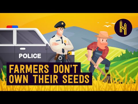Video: Când semințele sunt modificate genetic?