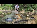 Survival in the forest catch fish for food  fish for dinner  wild girl  huong