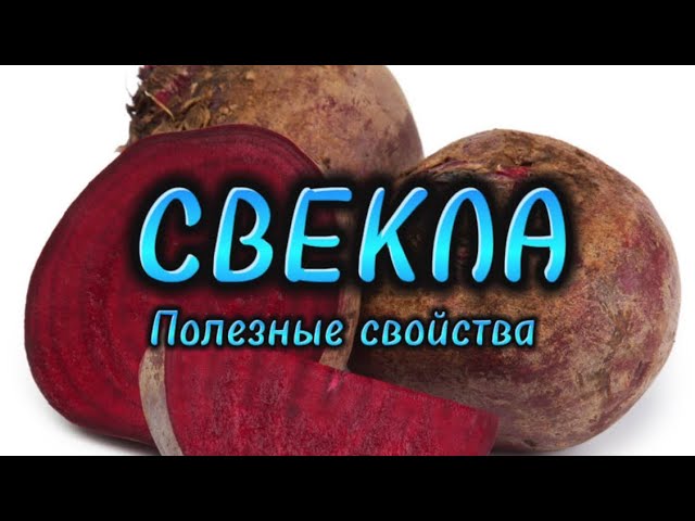 СВЕКЛА. ПОЛЕЗНЫЕ СВОЙСТВА