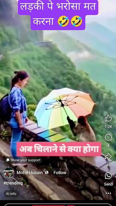 Ladki Ne Diya Bandar Ko Chhata... Aur Bandar Ban Gaya Uddan Bandar 😂🪂 #shorts #trending #viralvideo