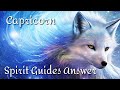 ♑️Capricorn ~ Urgent Messages From Your Spirit Guides For Right Now!