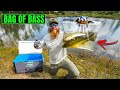Catching Creek Bass by HAND!! (Pond Stocking)