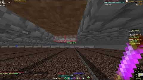 Hypixel Builders Wand glitch