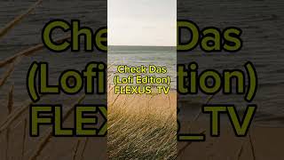 Check Das (LOfi Edition) - FLEXUS_TV