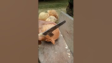 Geweldige techniek | verwijder de kokosnoot uit de schil