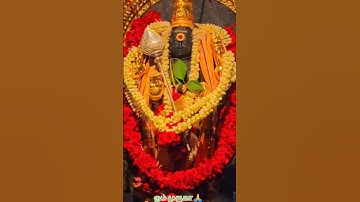 murugan whatsapp status tamil 🙏✨ #mariamman #love #muruganslogasmanthras #hindudeity #facts