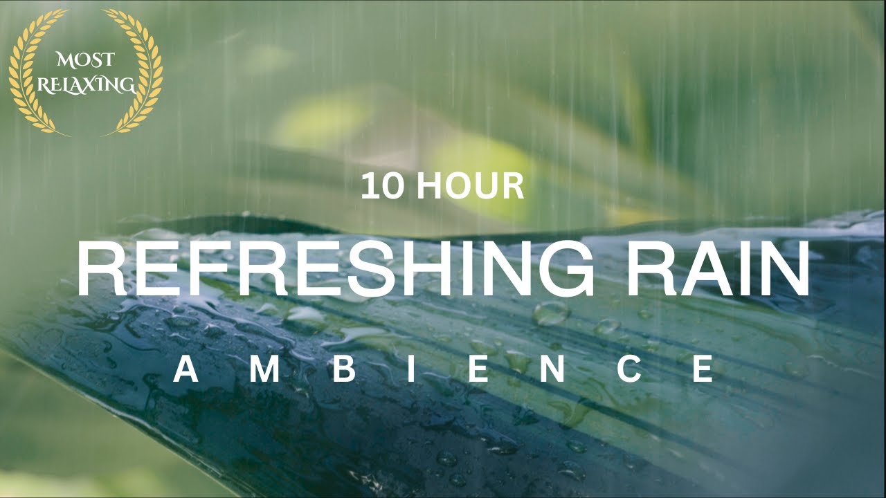 10 Hour | Gentle Rain on a Leaf | Soothing & Peaceful Ambience for Insomnia & Focus