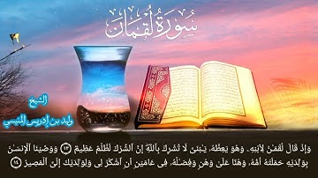 سورة لقمان كاملة للشيخ د وليد بن إدريس المنيسي