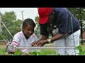 Farm to school overview