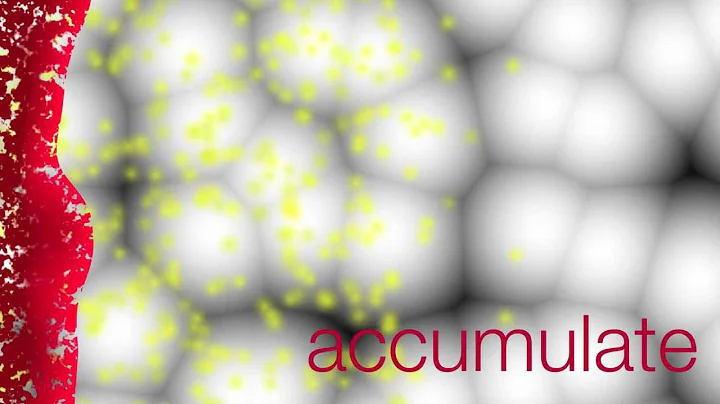 Nanoparticle Transport in Tumors - Full Version