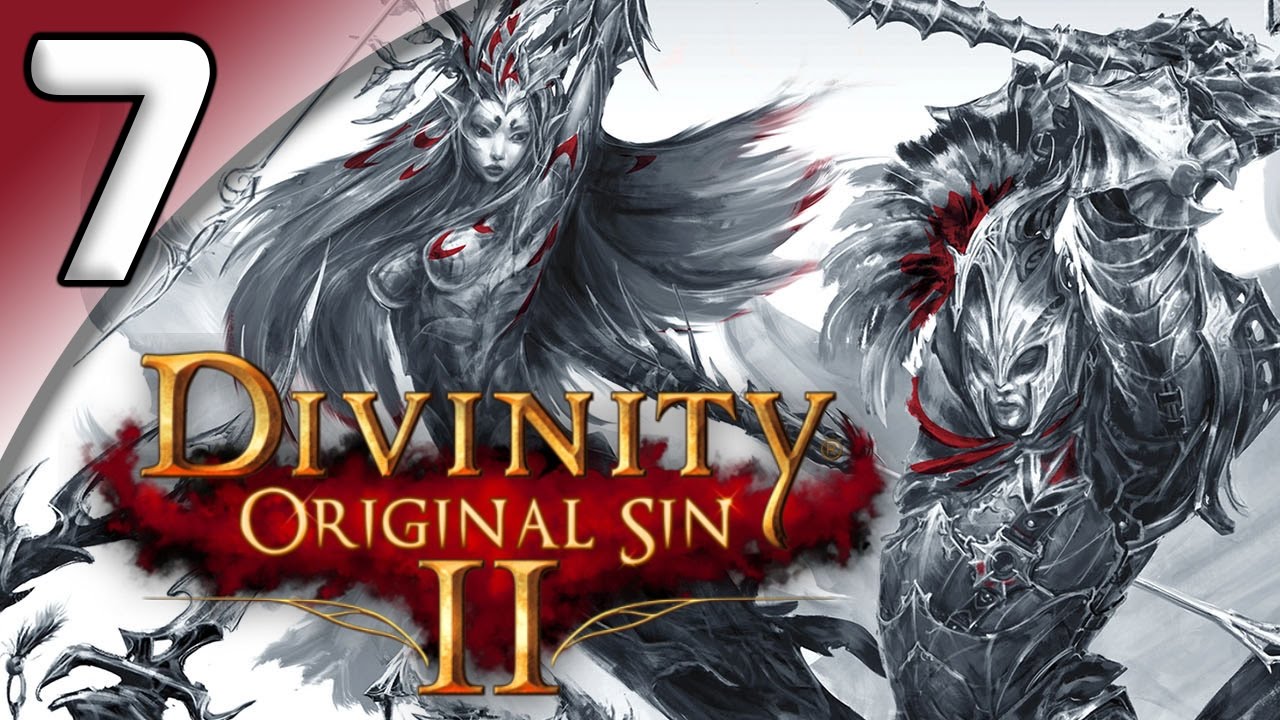 divinity 2 original sin multiplayer