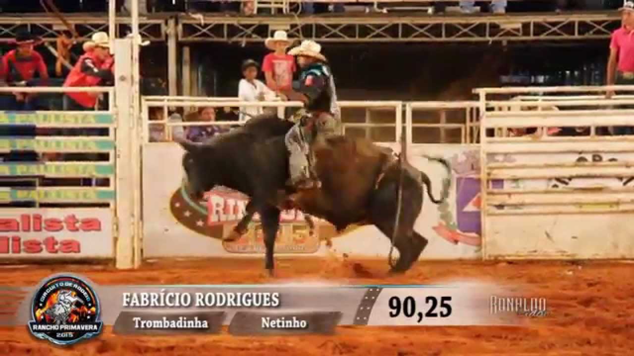 Rodeio de Rinópolis 2015 - GOLD COWBOY / FINAL horseshoe bend