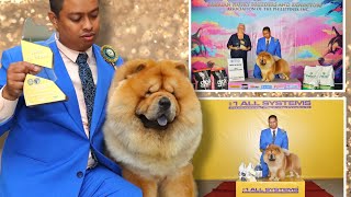 FIRST BEST IN SHOW  MARVEL (Chow Chow)