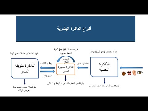 فيديو: ما هي الأنواع الثلاثة للذاكرة الحسية؟