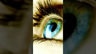 Золотой Глаз,Презентация Медитации  Для Наполнения Энергии Глаз #Магия #Душа #Психология