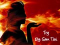 Try - Sam Tsui (Lyrics)