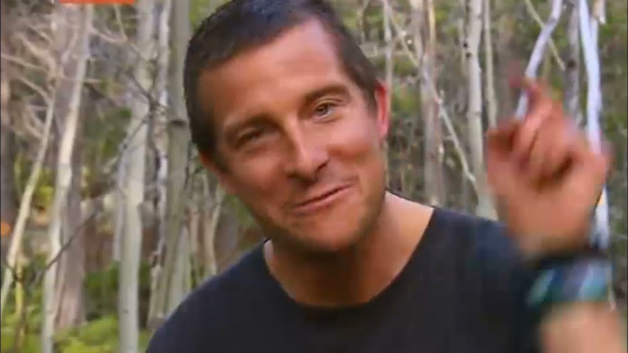 YTP - Bear Grylls e gli scoiattoli ingrifati