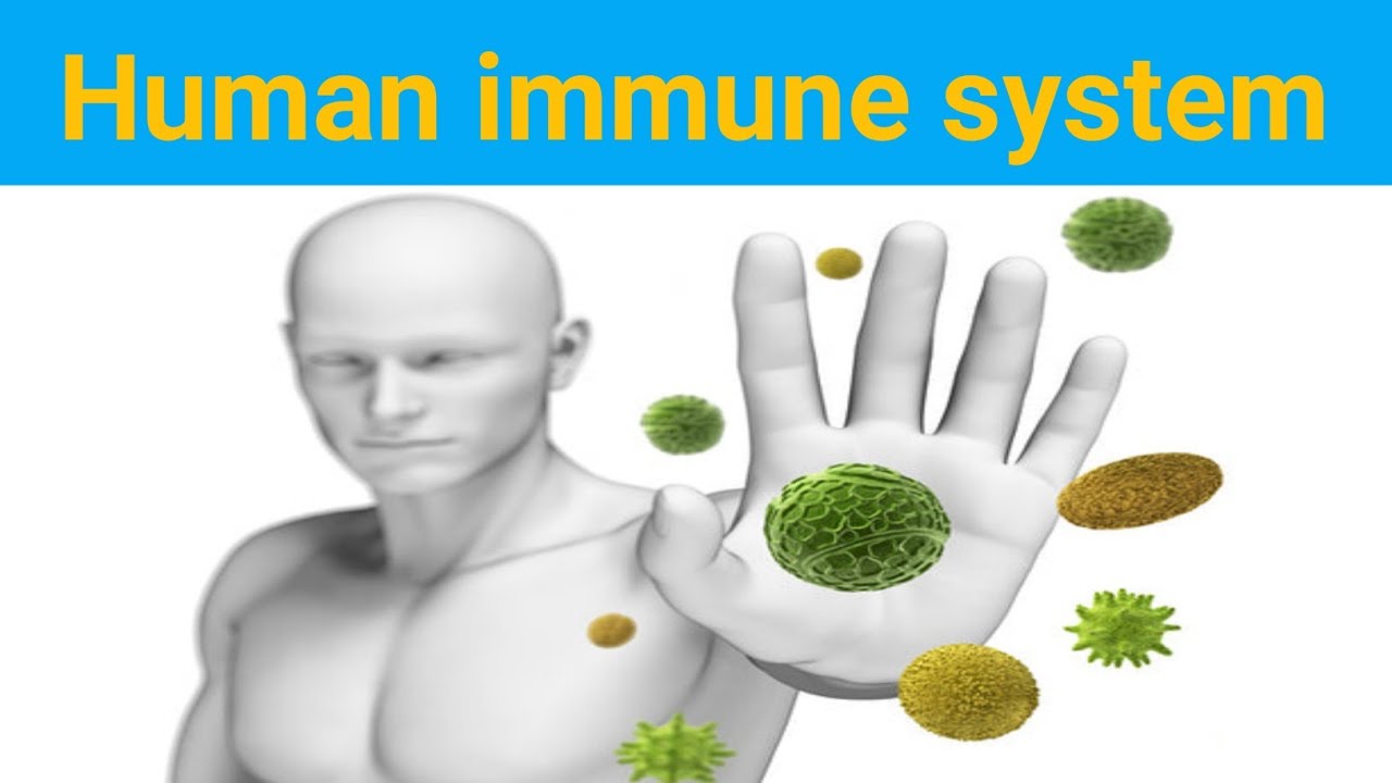 Immunity chapter:6 part:1 pathophysiology BSN Third semester kmu slides in pashto #kmupdates