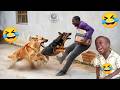 🤣 99% Of Viewers Can't Finish This Laugh Challenge 😂 Funniest Viral Clips Ever