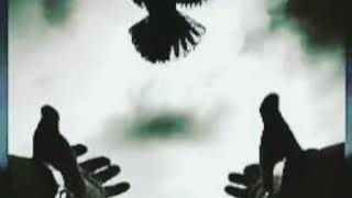 Esger Masalli & Elşən Lökbatanlı - Zindan Qapılarına