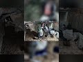 🪖 Hallan caleta de disidencias de las FARC en zona rural de Rovira tras operativo del Ejército