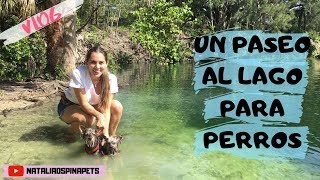 Un paseo al lago para perros con Mellow y Alana  VLOG