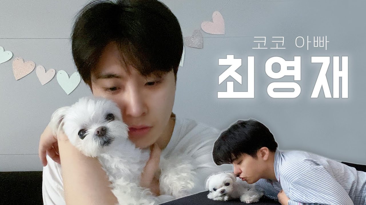 [CC] 코코 아빠 영재 일상 모음집.zip 🐾  | (말티즈 강아지) 유치원, 도시락, 옷