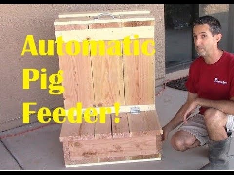 Automatic Pig Feeder