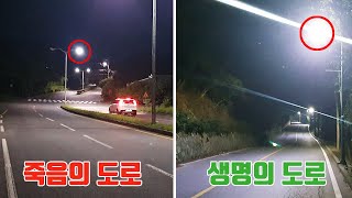 매년 수십억마리이상의 생명들이 이것때문에 죽습니다 [TV생물도감]