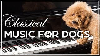 Classical Music For Dogs - Calming Classical Piano Music For Dogs To Relax - what is calming music for dogs