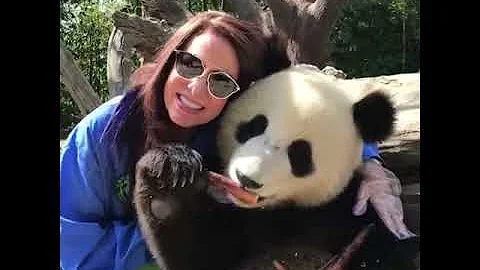 2018 China ChengDu Panda Hug - DayDayNews