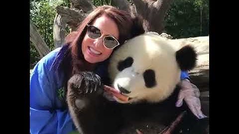 2018 China ChengDu Panda Hug
