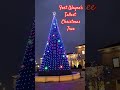Fort Wayne&#39;s Tallest Christmas Tree