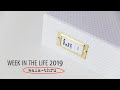 Week in the Life 2019 | walk through with commentary