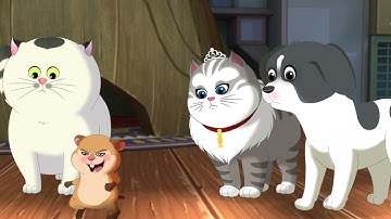 PETH01013 VINT 2500HD16X9 022 ENG