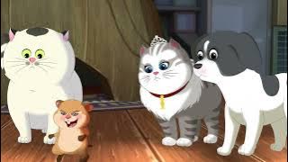 PETH01013 VINT 2500HD16X9 022 ENG