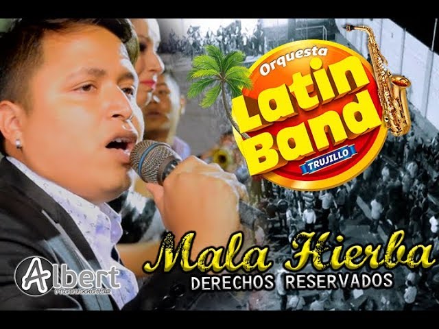 MALA HIERBA - ORQUESTA LATIN BAND (Concierto 2018) ALBERT PRODUCCIONES class=