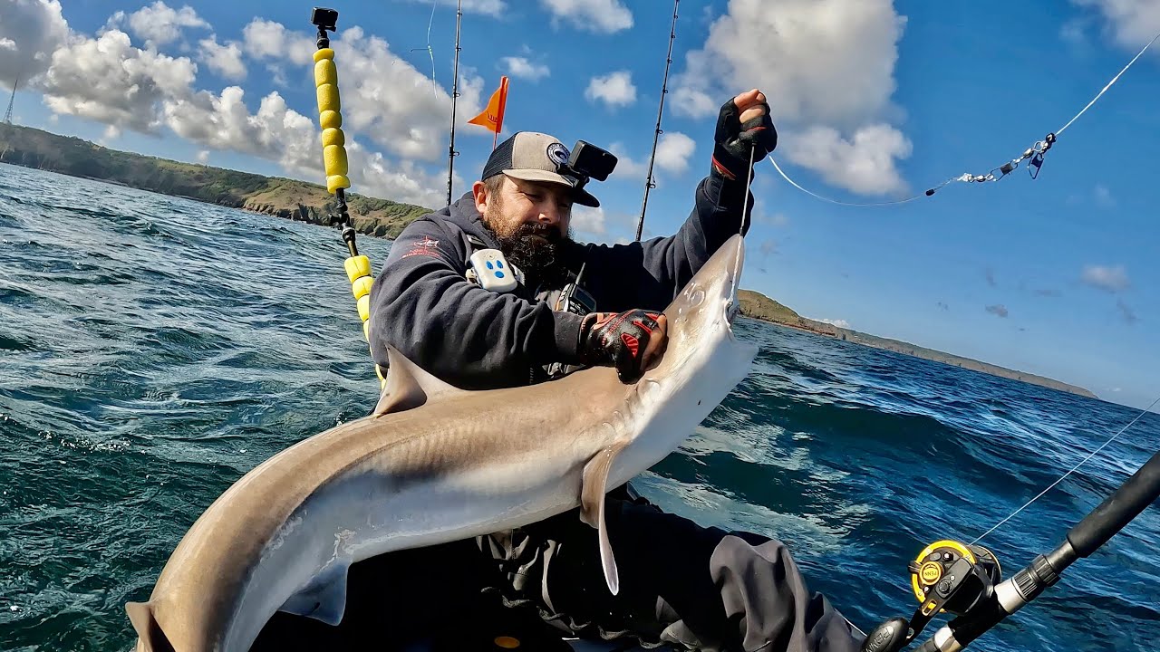 Big Fish Almost Flips My Kayak Over – Fishing For Tope – Sea Fishing Uk – Kayak Fishing Uk