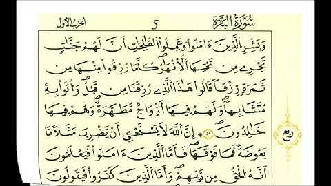 سورة البقرة - الشيخ علي الحذيفي - رواية قالون