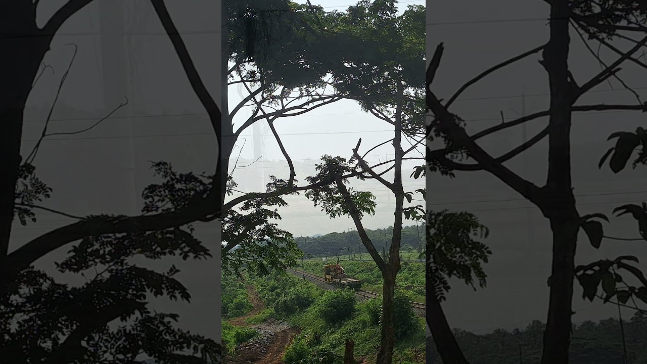 Nilamboor travel photos 