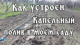 КАПЕЛЬНЫЙ ПОЛИВ СВОИМИ РУКАМИ