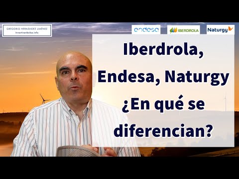 Iberdrola, Endesa, Naturgy ¿En qué se diferencian?