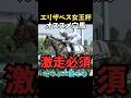 【エリザベス女王杯2025】オススメ穴馬/サフィラ#エリザベス女王杯 #サフィラ#競馬 #競馬予想 #競馬予想tv #中央競馬予想 #ウマキング #うまログ #義英真 #shorts
