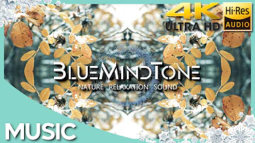 BlueMindTone - Harmony (Original Edit) Winter meditation relaxation focusing energy nature music