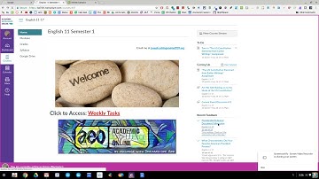 How to View Feedback on Canvas