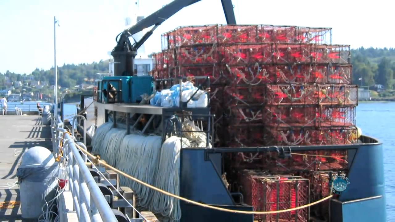 Catch Shares and Safety in the Bering Sea Crab Fisheries.mov 