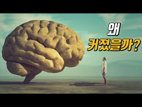   무엇이 인간의 뇌를 특별하게 만들었을까 상상도 못한 뇌 진화의 원동력