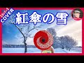 紅傘の雪  歌:真木柚布子       Cover  by  Sammy