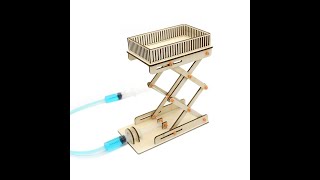 DigiWiz Hydraulic Lift STEM Project Net Worth